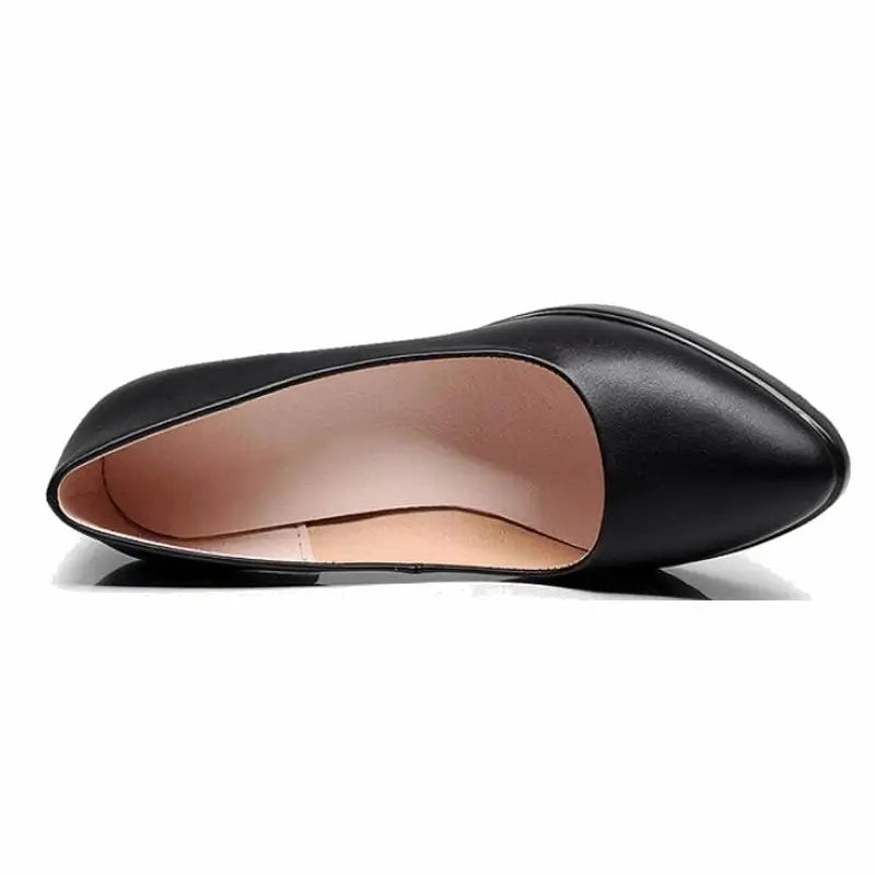 Chaussures Femme Cuir Bout Pointu Talons Aiguilles Noires