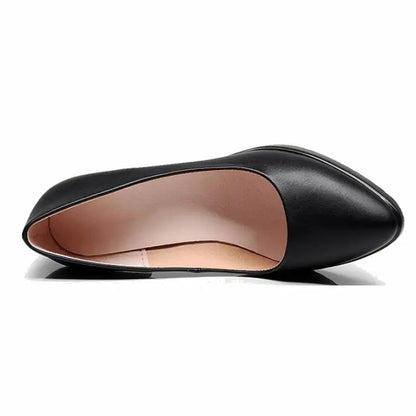 Chaussures Femme Cuir Bout Pointu Talons Aiguilles Noires